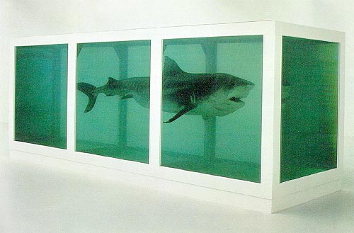 8-12 millió dollár értékű formalinban konzervált cápa, Damien Hirst műve